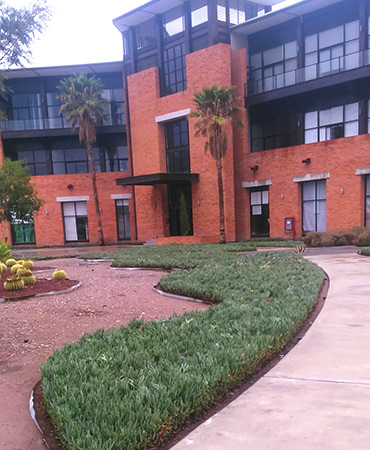 Jardinería industrial Limpiaplus