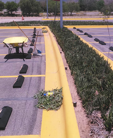 Mantenimiento de areas comunes